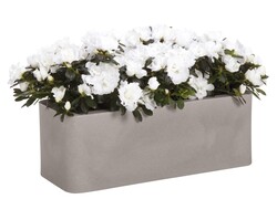 Nicoli 50x20x18cm lovelis Calypso Matt 50 pelenų spalvos - nuotrauka 2