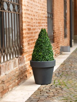 Teraplast ø60x55cm vazonas Standard One 60, antracito spalvos - nuotrauka 2
