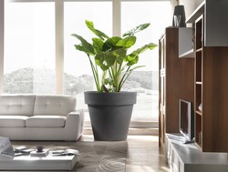 Teraplast ø120x108cm vazonas Standard One 120, antracito spalvos - nuotrauka 3