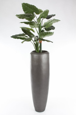 fleur ami Ø30x80cm vazonas New Loft Vase 80, anthracite - nuotrauka 4