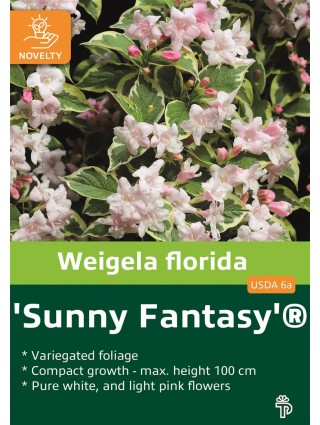 Veigelė raudonlapė (Lot Weigela florida) 'Sunny Fantasy' C5/P23 40-60 CM-VEIGĖLĖS-KRŪMAI