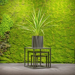 Jungle Flora 50x50x50cm metalinė pakyla CUBE 50 - nuotrauka 5