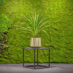 Jungle Flora metalinių pakylų komplektas CUBE 30+40+50 - nuotrauka 3