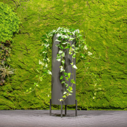 Jungle Flora ø30x100cm metalinis vazonas Riverside Rise 1000 - nuotrauka 5