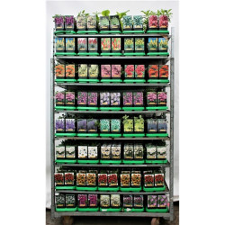 Perennials MIX (Lot Perennials in)  MIX P11 - nuotrauka 1