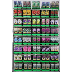 Perennials MIX (Lot Perennials in)  Pulsatilla, Helenium, Iris, Monarda, Phlox, Salvia, Veronica & Lilium