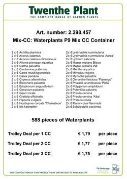 Vandens augalai MIX (Lot Water Plants)  P9 VANDENS AUGALAS - nuotrauka 2