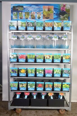 Vandens augalai MIX (Lot Water Plants)  MIX CC 1 - nuotrauka 2