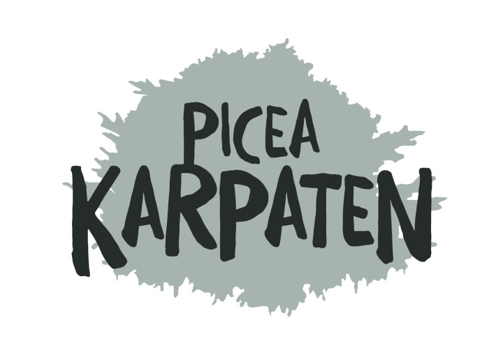 Eglė dygioji (Lot Picea pungens) 'Karpaten' C15 40-50 CM | EGLĖS | SPYGLIUOČIAI
