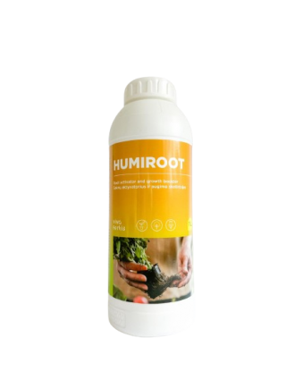 Humiroot, 1 L-TRAŠOS-AUGALAITAU