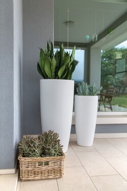 Nicoli ø43x90cm vazonas Talos Matt 43 baltos spalvos - nuotrauka 5
